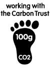 Visuel Carbon Trust