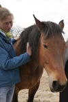 Psychotherapeute Ellen Govaerts met paard (foto: Cois Van Roosendael)